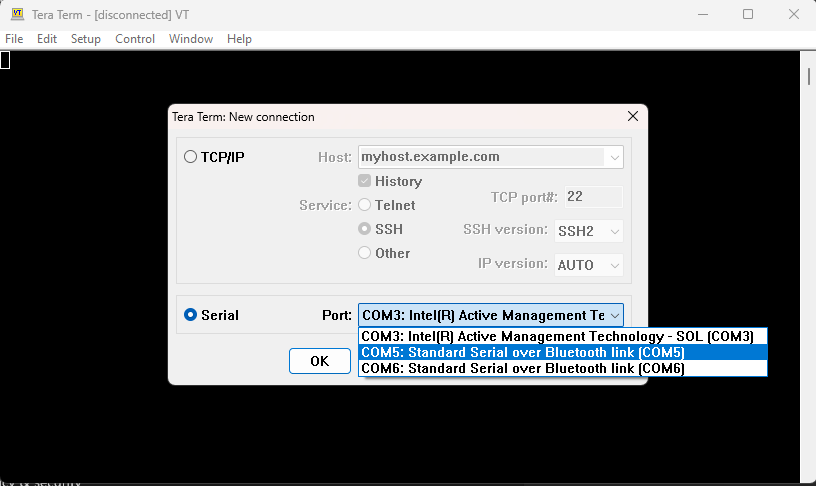Tera Term serial port selection showing COM5 and COM6 as Standard Serial over Bluetooth link